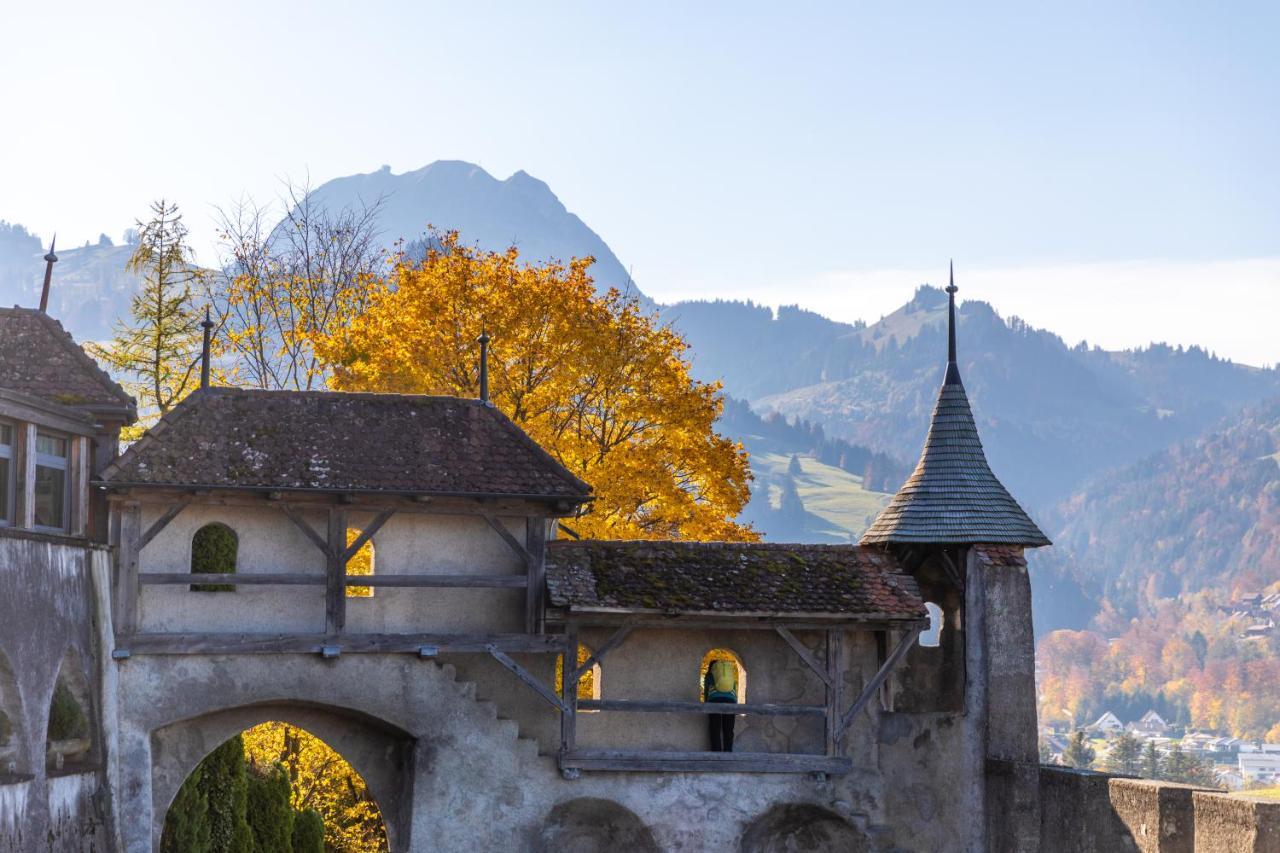 Hotel D Bulle - La Gruyere Экстерьер фото